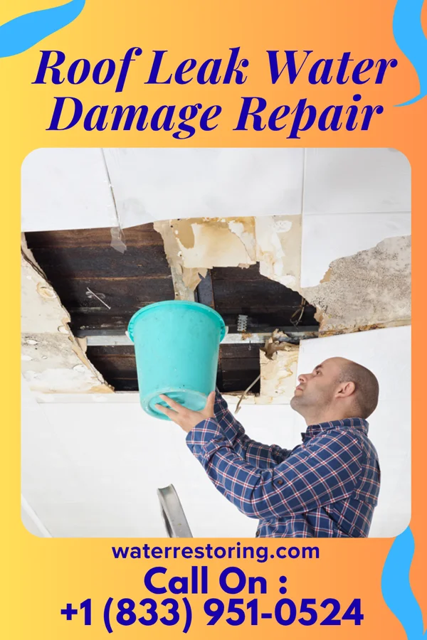 Roof Leak Water Damage Repair in Livingston, LA